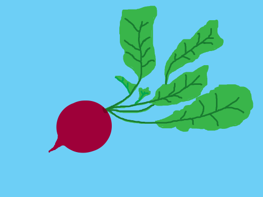 radish