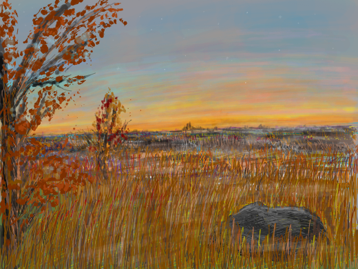 draw something beautiful