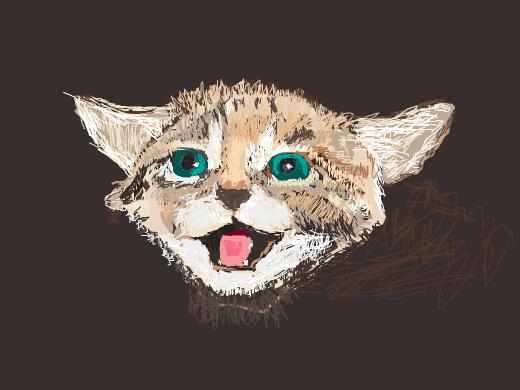 here kitty, you can has cheese burgers