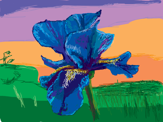 Half colored flower