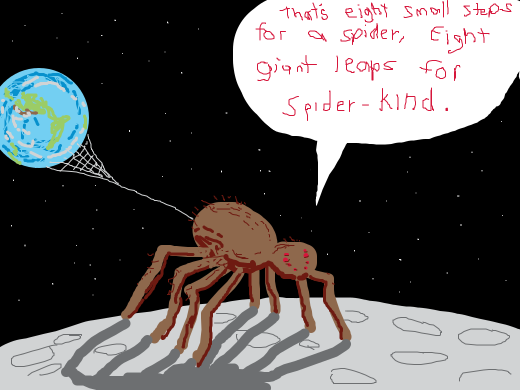 spider flying on his web all the way into space