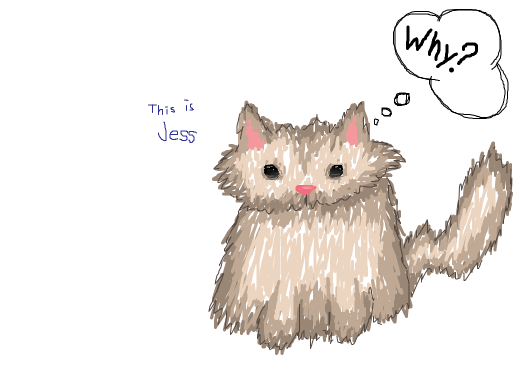Jess the cat wonders, &quote;Why?&quote;