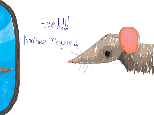 Eeek!!! Another mouse!!!