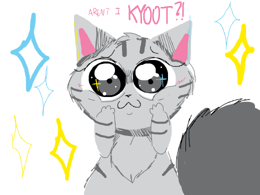 Kitty cat