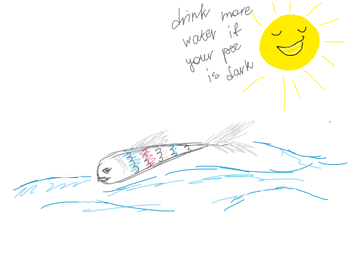 It's pee fish and smiling sun. It says to drink more water if your pee is dark