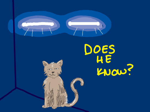 A cat in the corner of a room, with the words: &quote;Does he know?&quote;