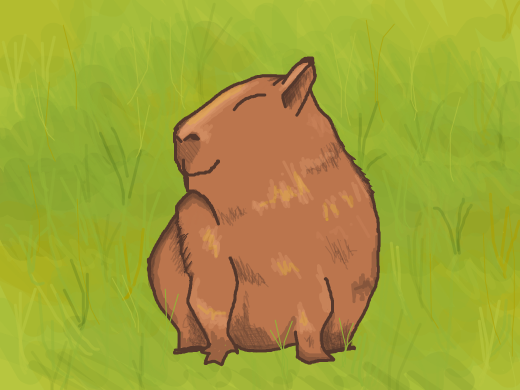 a capybara in a dry grassy field. hes cute