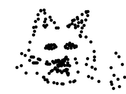 close up of a very cute cat!