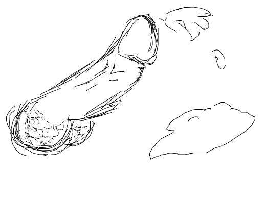 Doodle or Die