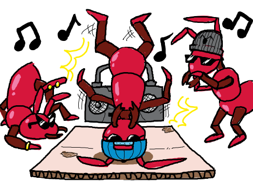 woah... these ants go crazy