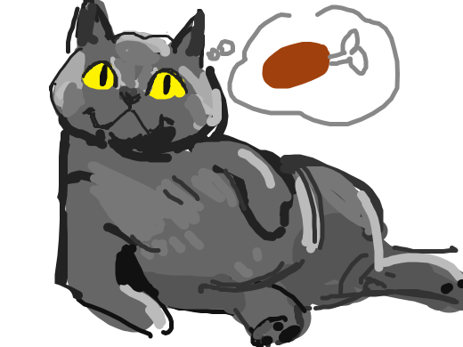 a fat ccat