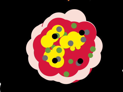 this is a pizza
