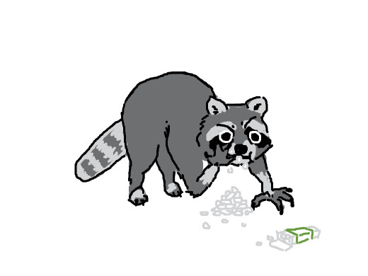 a raccoon eating tik taks