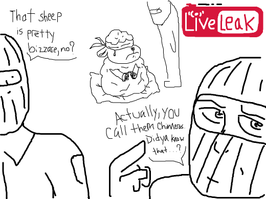 Doodle or Die