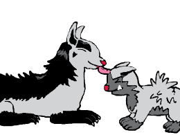 Mightyena licking Poochyena